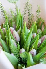 close up of a cactus flower
