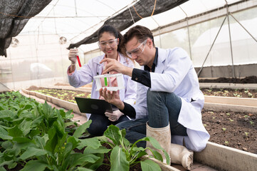 Scientist hand holding a test tube with vegetable at organic farm	