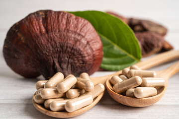 Dried lingzhi mushroom with capsule drug, alternative medicine herbal organic herb.