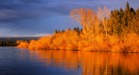 Naklejka na ściany i meble Sunset Lake Reflection in Water with Trees in Golden Light