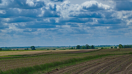 Fototapeta na wymiar Spring farmland under cloudy skies.