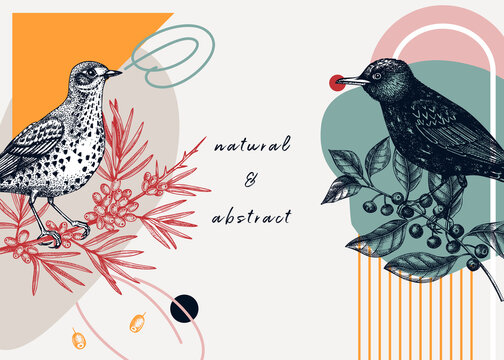Collage style bird background. Sketched bird trendy frame. Creative background with botanical illustration, geometric shapes, and abstract elements. Perfect for print, wall art, packaging