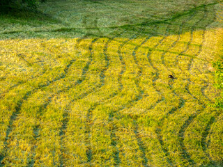 Freshly mown meadow with traces of a mowing machine