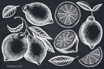 Citrus hand drawn vector illustrations collection. Chalk lemon.