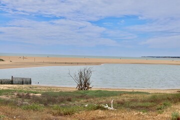 lake in the countryside