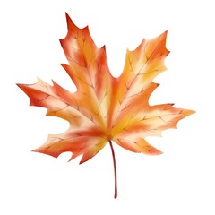 Watercolour illustration of autumn leaf, fall decorations.