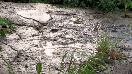 Rain water pours onto the concrete base. Shower. Falling drops. The season is summer. Tropical climate. Precipitation in the form of rain. Close-up. - Powered by Adobe