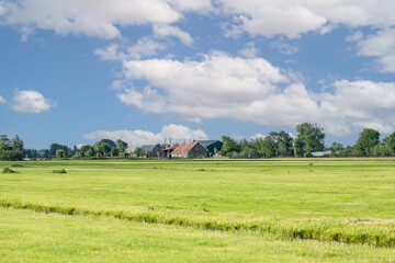 Dutch meadow landscape Zaans Rietveld, Alphen aan den Rijn with juicy green meadows and on the...