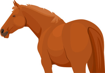 Realistic horse standing illustration