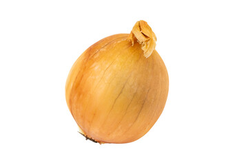 Onion isolated on white background. Onion close up.
