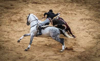 Bullfight on horseback Madrid Spain - obrazy, fototapety, plakaty