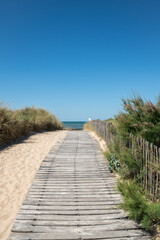 Ile d’Oléron (Charente-Maritime, France), chemin d’accès à la plage - 509188386