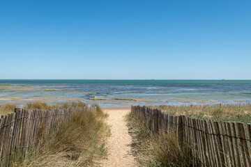 Fototapeta na wymiar Ile d’Oléron (Charente-Maritime, France), chemin d’accès à la plage
