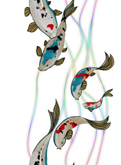 Beautiful decorative japanese carp koi  fish set (Cyprinus carpio) Colorful fish on white background. Watercolor painting. Greeting cards, textile, wallpaper, bed linen design - 509188579