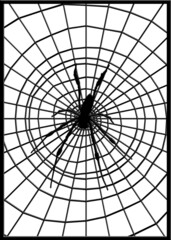 Claustra métallique motif toile d’araignée 