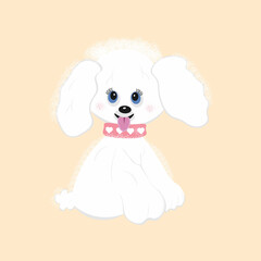 Cartoon character happy cute white dog poodle sitting, funny puppy isolated on beige background. Vector illustration in flat style.