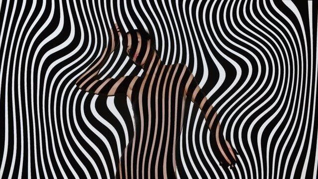 Elegant female in flesh toned bodysuit dancing seductive dance slowly overlay black and white lines stripes background. Attractive slim woman posing on abstract backdrop illuminated with projector