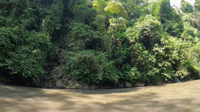 Looking Across Flowing Ayung River To Wall Of Hanging Rainforest Trees With Pan Right To Reveal Empty Red Raft
