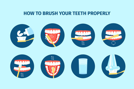 Teeth hygiene. Dentists tooth cleaning instruction with brush and paste. Clean mouth, washing or everyday stomatology hygiene, recent vector poster