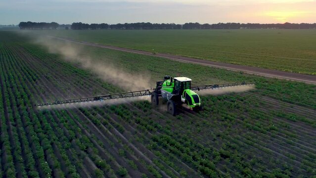 Tractor spraying potato field with sprayers using herbicides and pesticide. Farm machinery spraying insecticide. Agriculture concept.