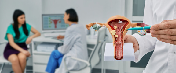 Diagnostic and medical care of gynecological disease. Gynecologist showing anatomical model uterine over gynecological consultation of woman patient with doctor