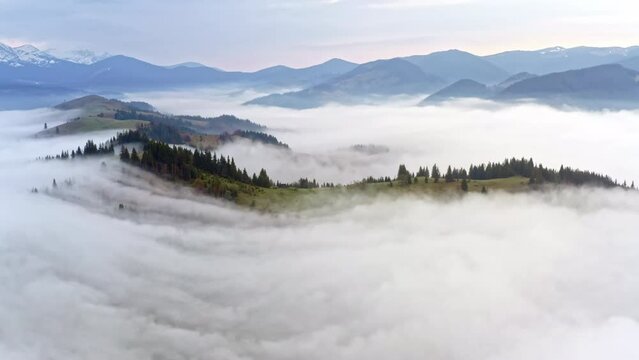 Aerial view of a mountain range forest is covered in morning fog. Low clouds roll over green hills.