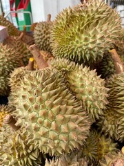 Naklejka na ściany i meble Durian in pile waiting for sale. Thai fruit. Summer fruit.