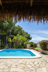 Bright blue swimming pool with green banana trees and pines