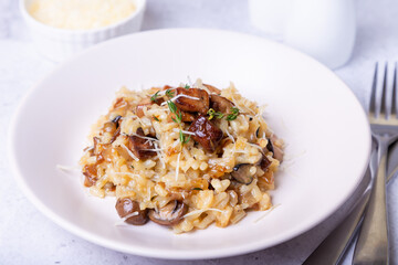 Risotto with porcini mushrooms. Traditional Italian dish. Close-up, horizontal orientation.