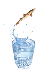 grande roussette , poisson, sauter, évasion, eau, en verre, boire, clapoter, liquide, isolé, froid, boisson, glace, blanc, bouillonner, frais, abattre, bleu, éclaboussure, clair, sain, verser, transpa