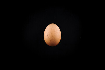 chicken egg on black background