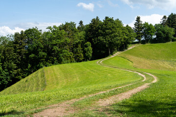 Naklejka premium Schweiz Hügel und Bergland