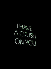Naklejka na ściany i meble i have a crush on you (neon)