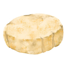 Brie Cheese wheel white mold creamy milky taste digital oil painting illustration