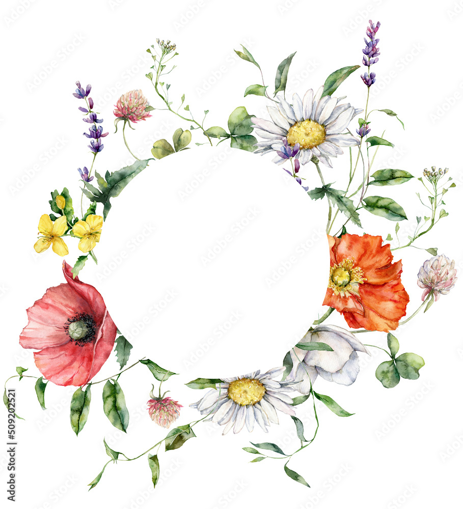 Wall mural watercolor meadow flowers circle frame of chamomile, poppy and lavender. hand painted floral card of