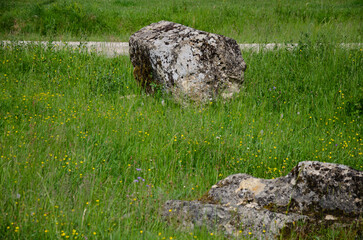 The old medieval necropolis called Stecci in Central Bosnia. Medieval tombstone called Stecak near the town of Novi Travnik. Necropolis called Maculje in the heart of Bosnia and Herzegovina.