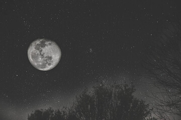 Fototapeta na wymiar Futuristic night sky and moon
