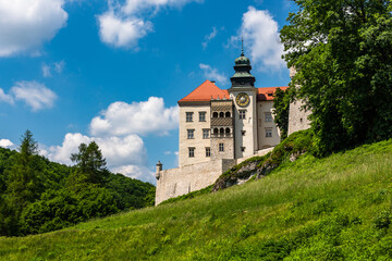 Fototapeta na wymiar Pieskowa Skala Castle in Ojcowski National Park near Cracow, Poland