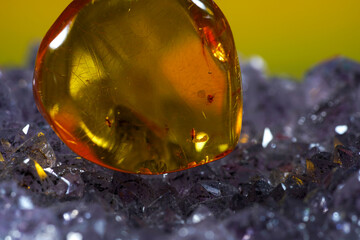 Amber made of yellow transparent fossil resin with insect inclusions photographed in the studio