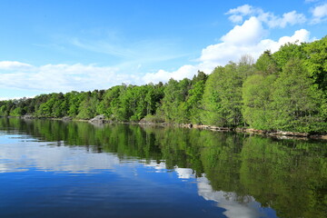 Fototapeta na wymiar Calm summer lake. Reflection of the forest in the water. Green trees and blue sky. Mälaren, Stockholm, Sweden, Scandinavia, Europe.
