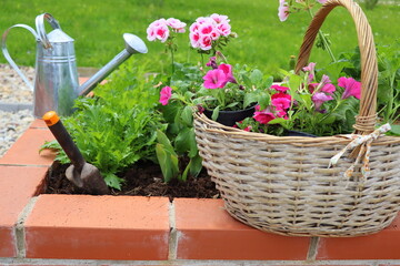 Garden Flowers, Plants and Tools in a modern garden. Spring Gardening Works Concept