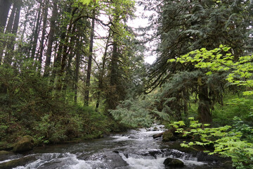 McDowell Creek Falls, Oregon