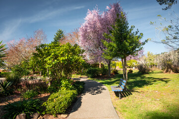 City of Brookings, Oregon. Azalea Park in spring.