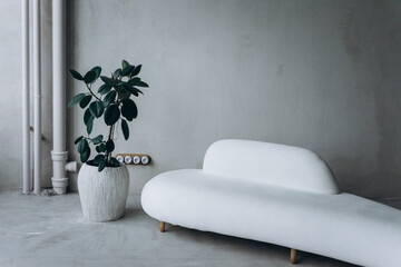 Modern simple minimalism in design interior