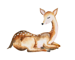 Cute deer sitting with closed eyes, wild forest animals. Deer isolated on white background, watercolor hand drawn illustration, cartoon childish drawing.