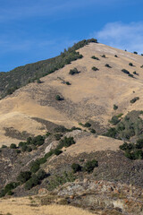 Grass Mountain Hike Santa Barbara County California