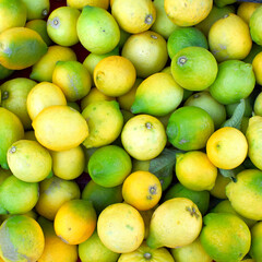 Green and yellow lemons top view closeup, colorful fruits background