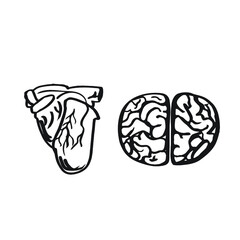 Heart and Brain Simple Line Drawings