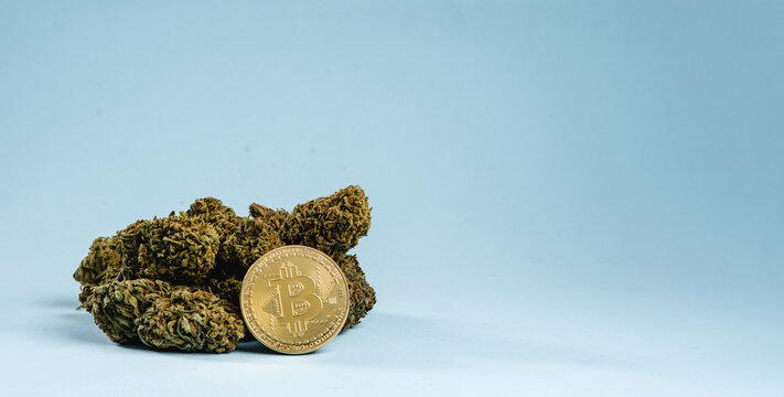 Bitcoin cryptocurrency coin with marijuana buds on an isolated background.
