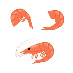 Bright seafood illustration isolated on white. fresh cartoon shrimp